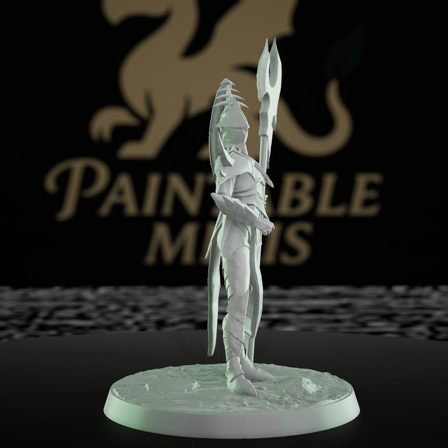 Collection Female Warrior Fighter Miniature | Medium | Rescale Miniatures | D&D DnD Pathfinder Miniature