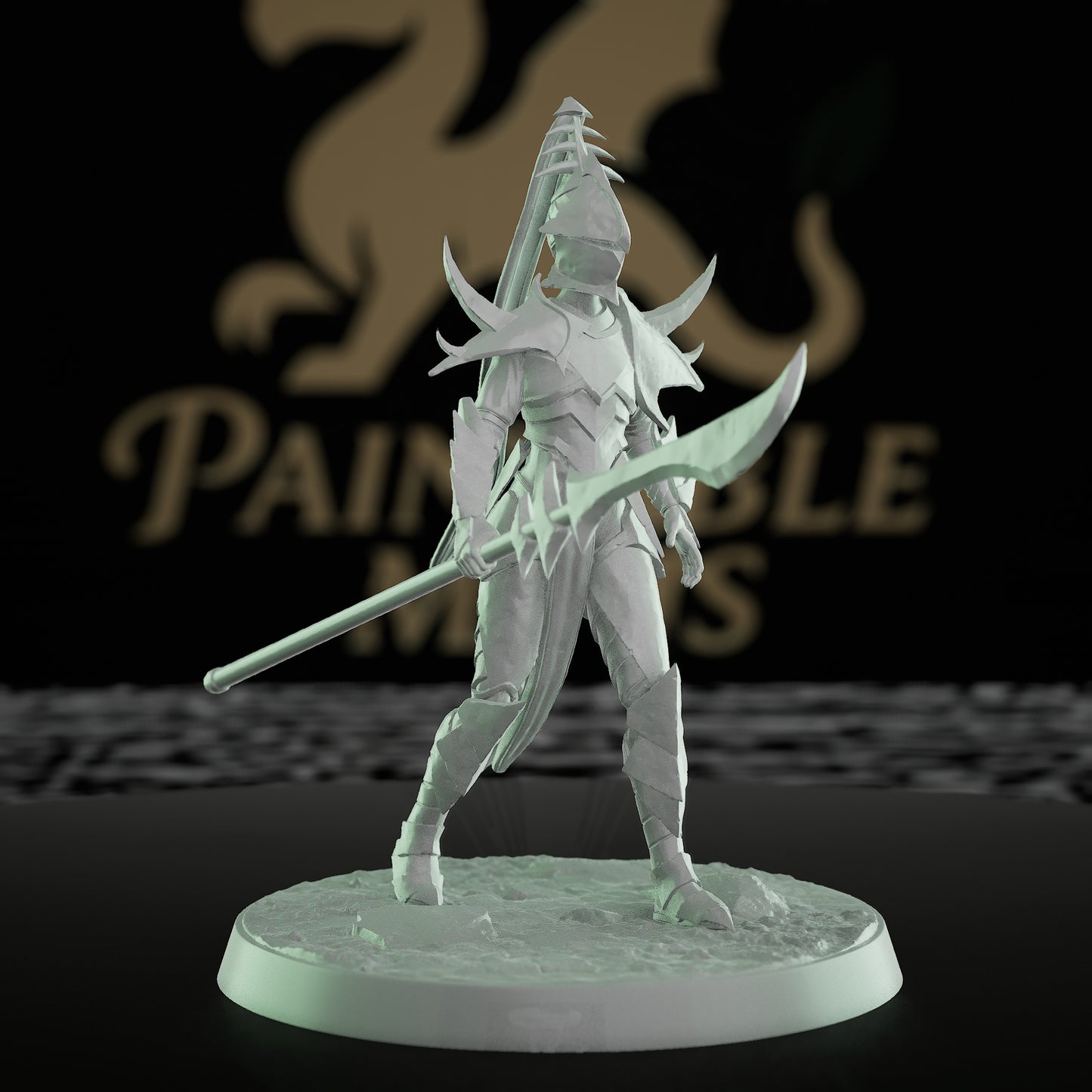 Collection Female Warrior Fighter Miniature | Medium | Rescale Miniatures | D&D DnD Pathfinder Miniature