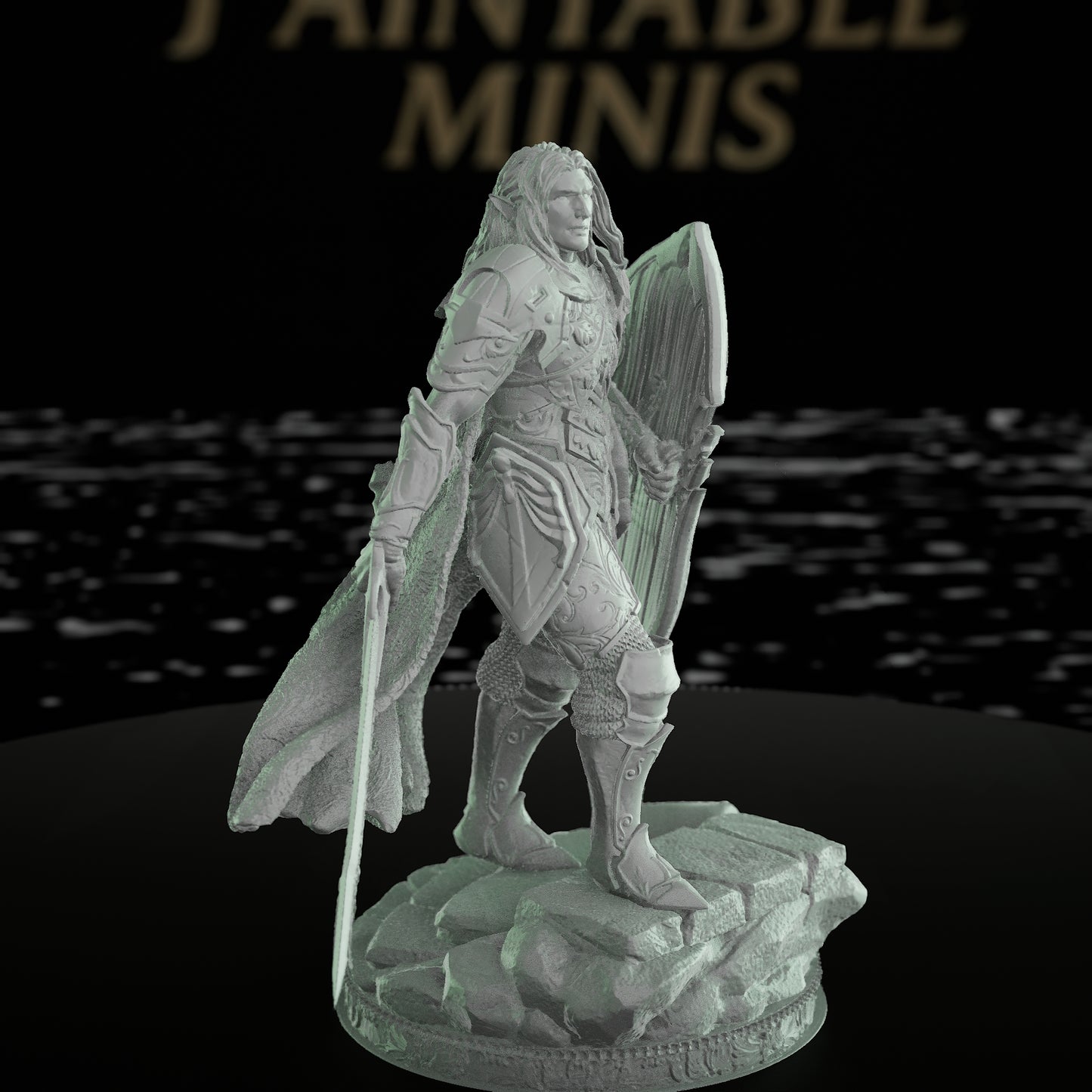 Half-Elven Paladin Sword Shield | Medium | DM Stash | D&D DnD Pathfinder Miniature