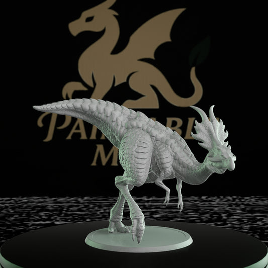 Dragon Raptor Intricate Scale Patterns | Large | Rescale Miniatures | D&D DnD Pathfinder Miniature